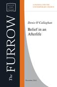 Belief in an Afterlife