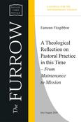 A Theological Reflection on Pastoral Practice in this Time