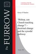 ‘Bishop, Can Church Teaching Change’?—Doctrinal Change and the Synodal Pathway image