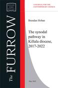 The Synodal pathway in Killala Diocese, 2017-2022 image