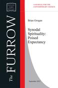 Synodal Spirituality: Poised Expectancy image
