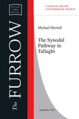 The Synodal Pathway in Tallaght image