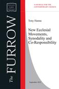 New Ecclesial Movements [NEM], Synodality and Co-Responsibility image
