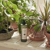 Sowvital House Plant Spritz image