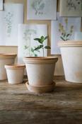 Flora Row Pot &amp; Saucer - Bergs Potter