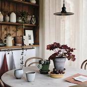Bergs Simona Raw Pot &amp; Saucer