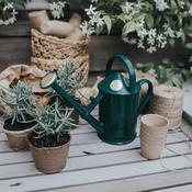 HAWS The Bartley Burbler 1L - Plastic Watering Can image