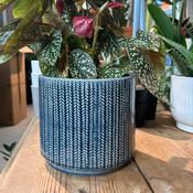 Textured Blue Pot image