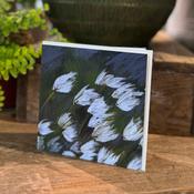 Maggie O'Dwyer Bog Cotton Cards