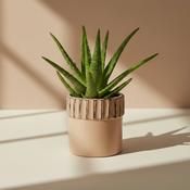 Cadans Glazed Ceramic Pot image