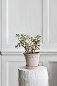 Kobenhavner Pot &amp; Saucer - Bergs Potter