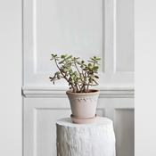 Bergs Kobenhavner Pot &amp; Saucer