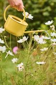 Watering Cans - 0.95 Ltr image