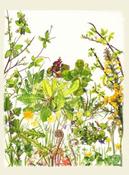 Kilcoe Studios Seasonal Cards Large