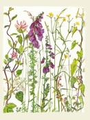 Kilcoe Studios Seasonal Cards