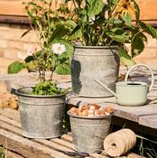 Tin Pots image