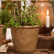 Rustic Brown Pot