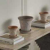 Fleur Raw Pot &amp; Saucer  - Bergs Potter image