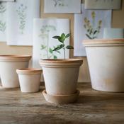 Bergs Flora Row Pot &amp; Saucer