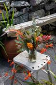 The Autumnal Jar