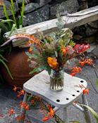 The Autumnal Jar