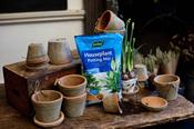 Westland Potting Mix image