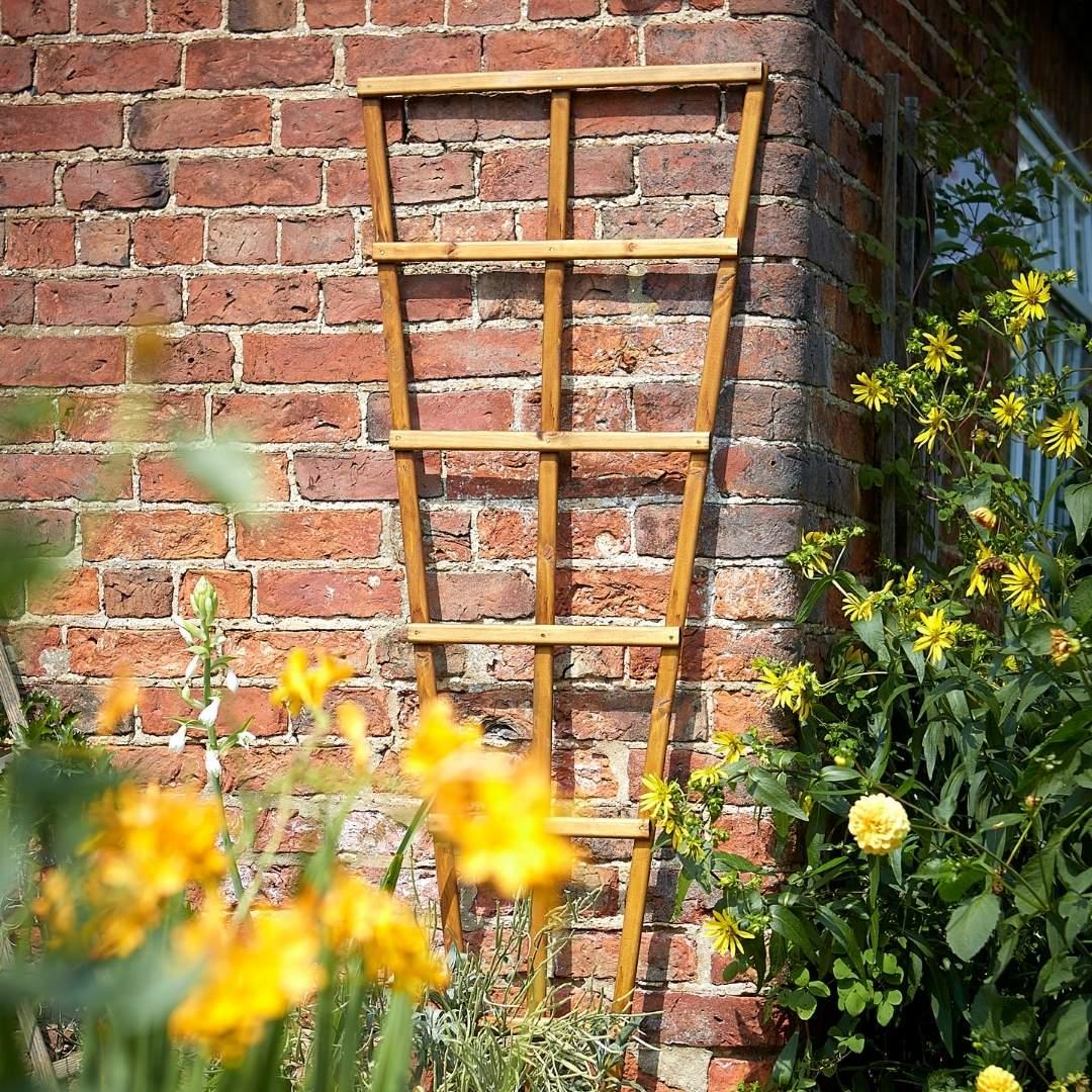 Tom Chambers Wood Fan Trellis in Dublin | GetLocal Ireland