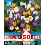 Crocus Mixed Colours Promo Bulbs image