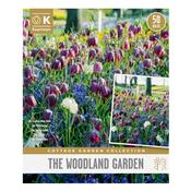 The Woodland Garden Collection Bulbs