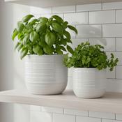 Addison Indoor Pot White