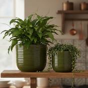 Addison Indoor Pot Green