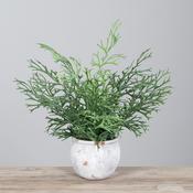 Artificial Antler Fern in Pot image