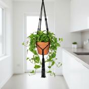 Belle Plant Hanger Black image