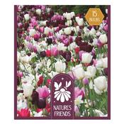 Blooms Bees &amp; Butterflies Pink Shades Bulbs