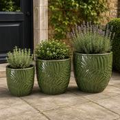 Glazed Pot Bocage - Kaki image