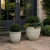 Glazed Pot Bocage - Lichen image
