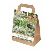 Cottage Garden Bulbs - White Forest image