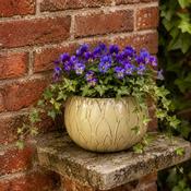 Glazed Bowl Outdoor Planter Victoria - Cream image