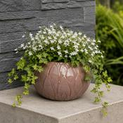 Glazed Bowl Outdoor Planter Victoria - Pink image