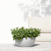 Ecopots Brussels 35 White Grey image