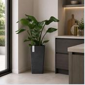 Ecopots Rotterdam Mid High 56 Dark Grey image
