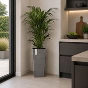 Ecopots Rotterdam Mid High 56 Grey