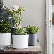 Era Indoor Pot Round White