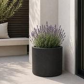 Eschbach Cylinder Pot - Espresso Black image