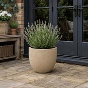 Eschbach New Egg Pot - Antique Sandstone image