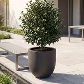 Eschbach Tall Egg Pot - Espresso Black image