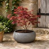 Eschbach Low Balloon - Concrete Grey