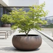 Eschbach Low Balloon - Rust Brown