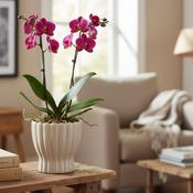 Hedvig Indoor Pot Sand image