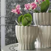 Hedvig Indoor Pot Green